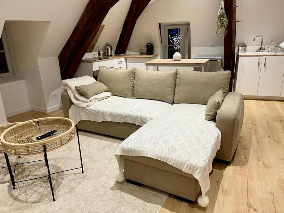 Appartement Cosy Centre Ville Saint-Amand-Mont-Rond Luaran gambar